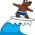 Surfing Surfing online