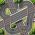 Circuit racing Circuit racing online