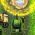 Tanker Tanker online