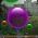 Bobler  online