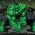 Hulk Hulk online