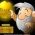 gullgraver  online