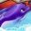 Delfin Delfin online