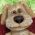 Hund Hund online